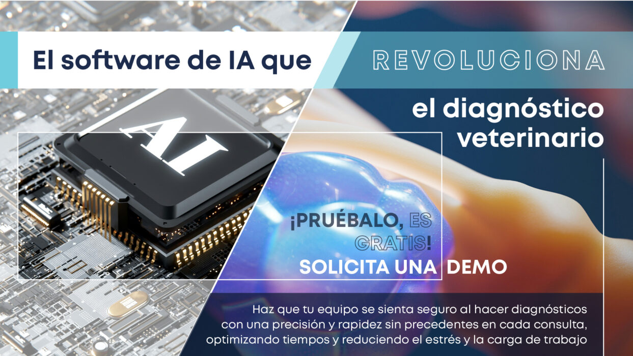 software ia